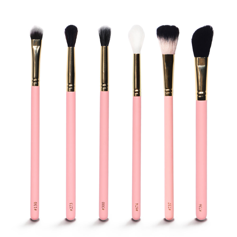 Basis-Make-up-Taschen-Pinsel-Set