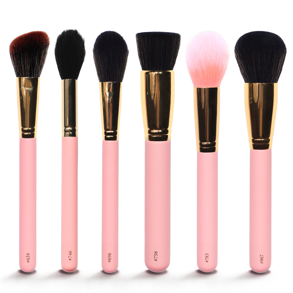 Basis-Make-up-Taschen-Pinsel-Set
