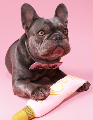 P.Louise Base Hundespielzeug