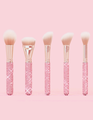 P. Louise Crystal 20 -teiliges Make -up -Bürstenbündel