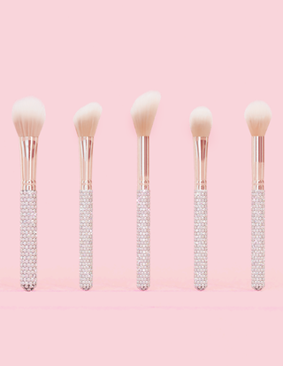 P. Louise Crystal 20 -teiliges Make -up -Bürstenbündel