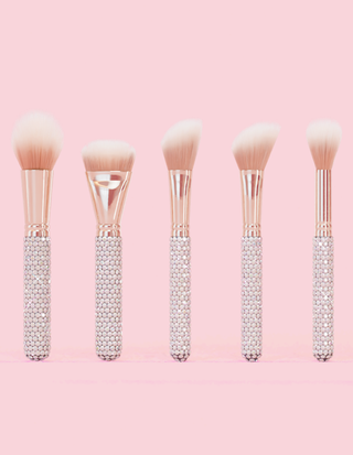P. Louise Crystal 20 -teiliges Make -up -Bürstenbündel