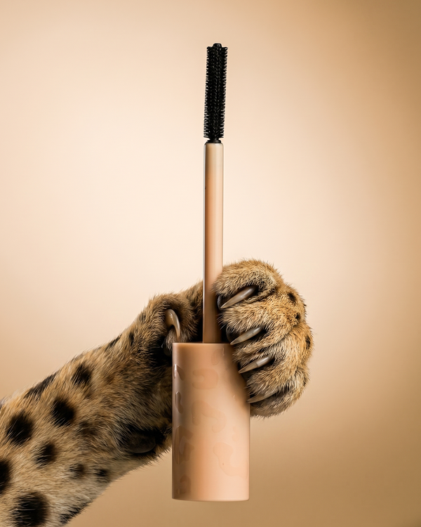 Milchige Grundierung für die Glasurphase