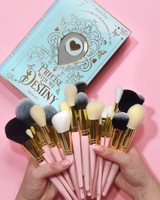 Präzise mit meinem Destiny 30-teiliges professionelles Make-up-Pinsel-Set