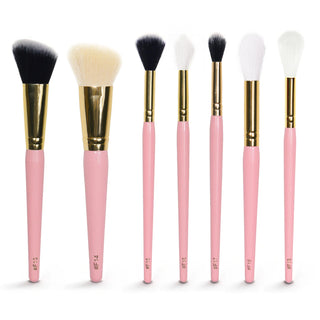 P.Louise präzise mit meinem Schicksals -Make -up -Pinselsatz