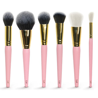 P.Louise präzise mit meinem Schicksals -Make -up -Pinselsatz