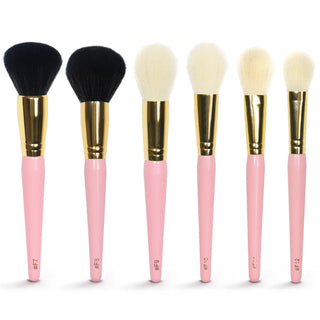 P.Louise präzise mit meinem Schicksals -Make -up -Pinselsatz
