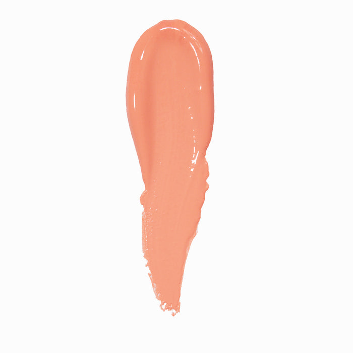 Zapatilla de ballet